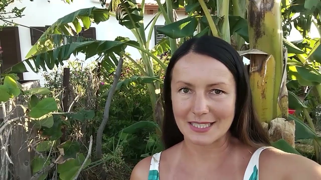 111. Семья живёт на райском острове и делится раем с гостями. Пальмы, бананы, шашлыки.