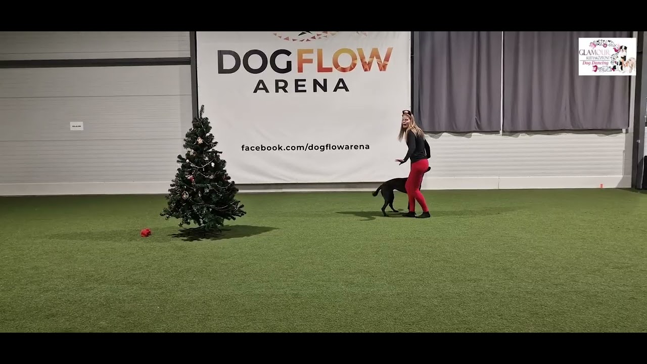 Sebők Réka & Nella - Karácsonyi Videósverseny 2025 - HTM Kezdő