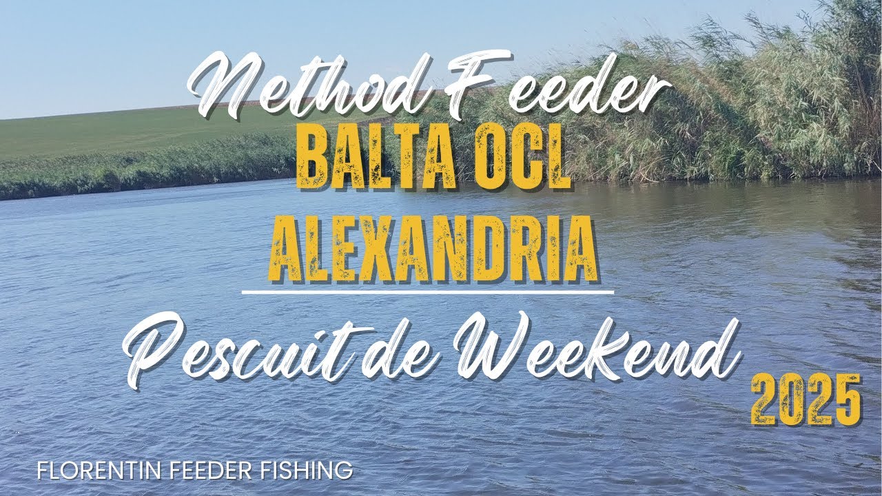 🎣Pescuit de Weekend🐟 Method Feeder - Balta OCL Alexandria #methodfeeder #carp
