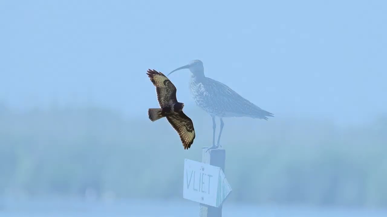 Varen op de Nieuwkoopse Plassen