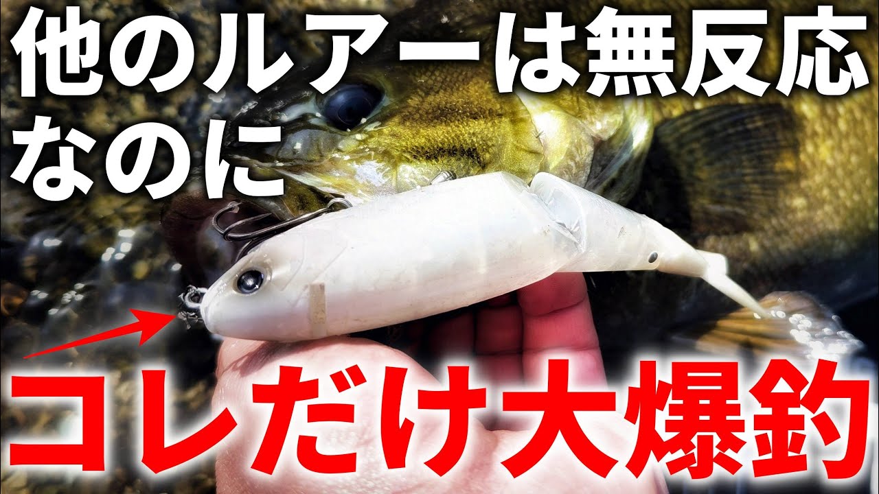 驚きの釣果！ワームより釣れる！春のデカバスが狂いまくってしまうやばいルアー【black bass】【4月】【スモールマウスバス】【スナッチ】