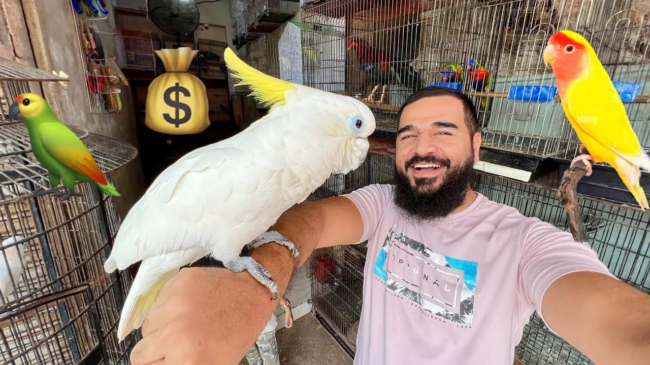 Love birds le liye 🦜😱 Boht zor se kaat lia hath pe