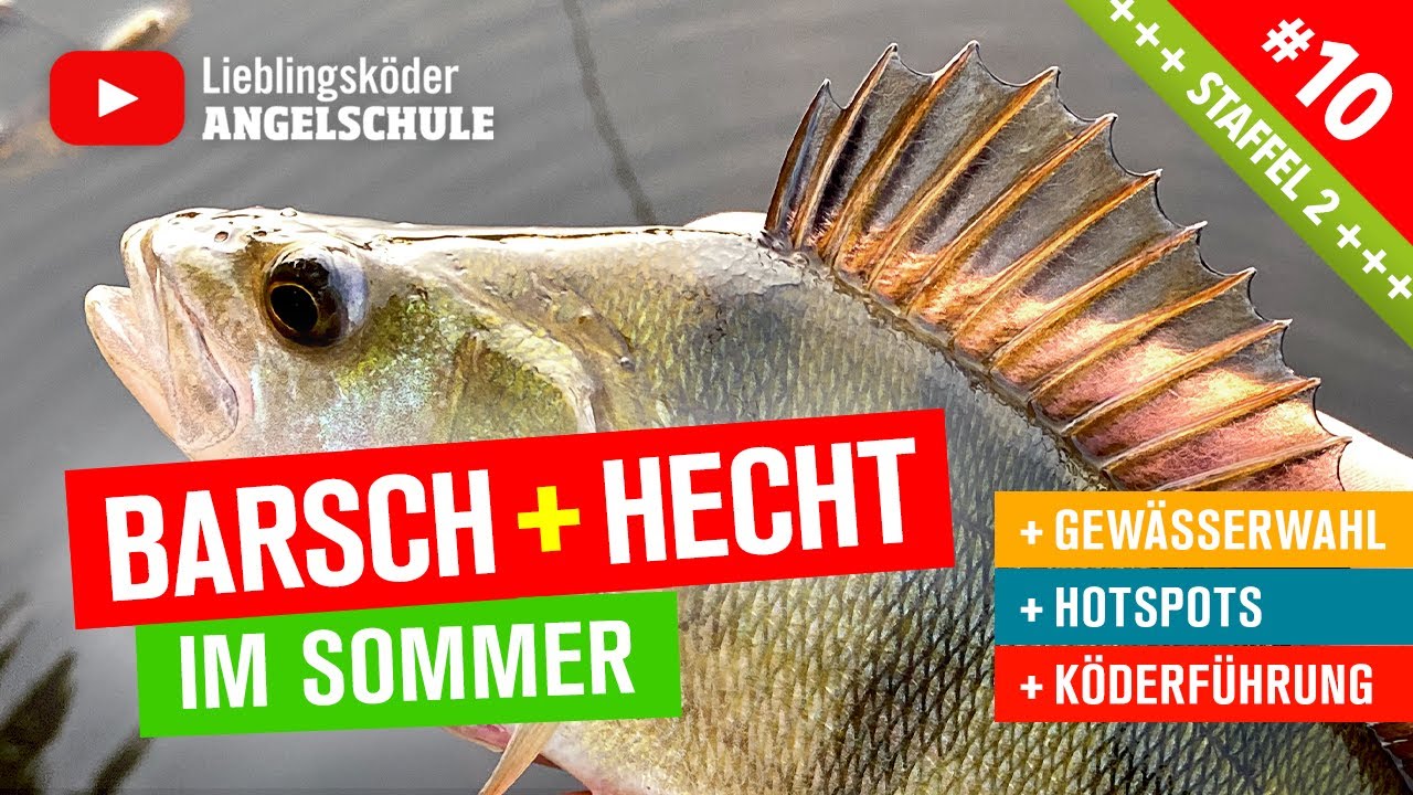 Barsch + Hecht Angeln im Sommer 🎣 (Staffel 2, Folge 10)