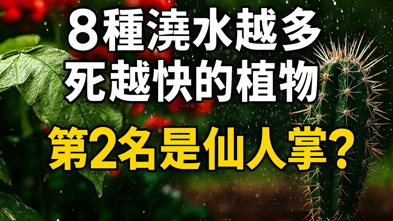 🌵8種澆水越多死越快的植物，第2名是仙人掌？怕水植物 | 澆水過多警訊 | 仙人掌養法 | 室內植物問題 | 根部爛掉 | 節水植物推薦 | 陽台防水技巧 | 土壤選配