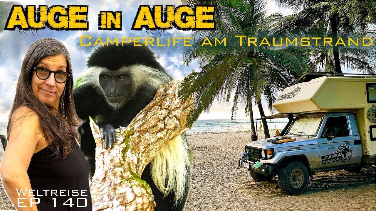 Affen-Alarm am Strand 🌴 &ndash; Unser Alltag im Camper in Kenia! Weltreise EP 140