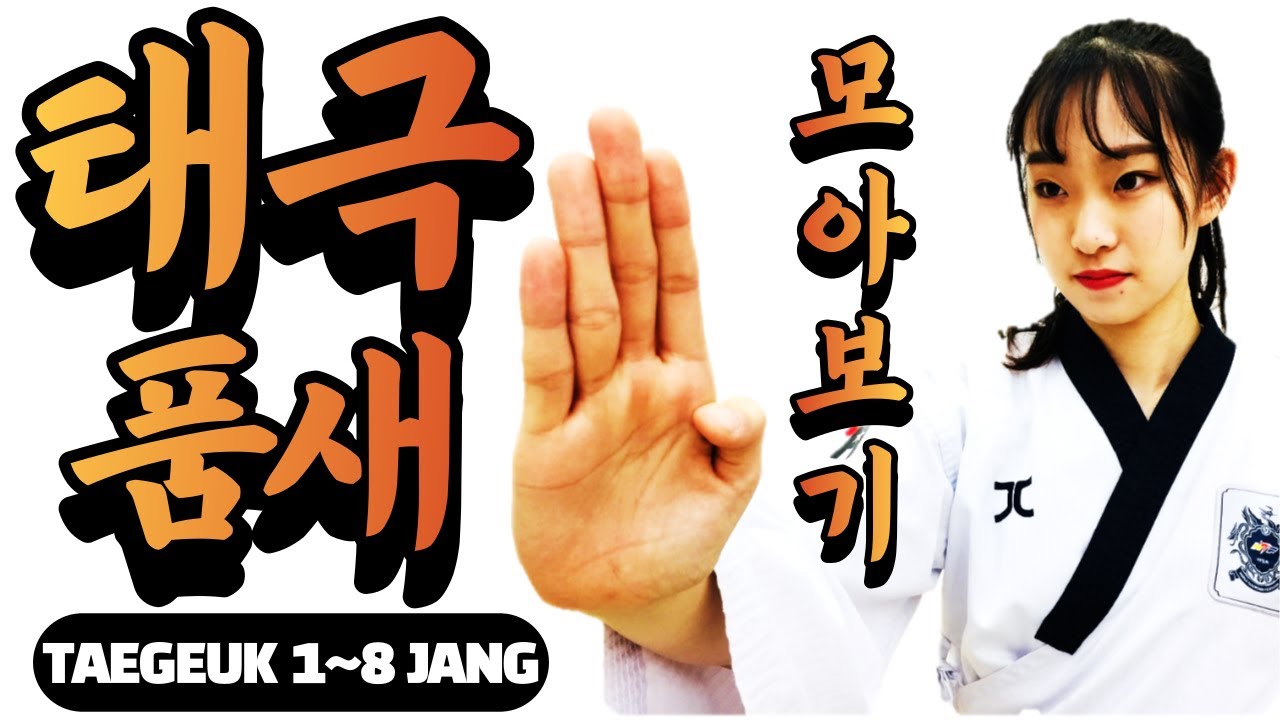 태권도 품새 태극 1장~8장 여기 있습니다 / 반복해서 보고 또 보시면 국기원 심사 합격! / Taegeuk1-8 / Step-by-Step, normal Version