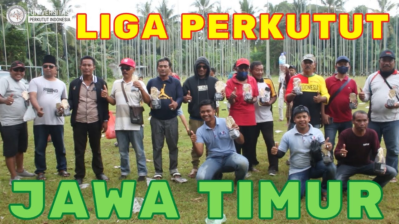 Perang Perkutut di Jember !!! Liga Perkutut Jawa Timur Part 1