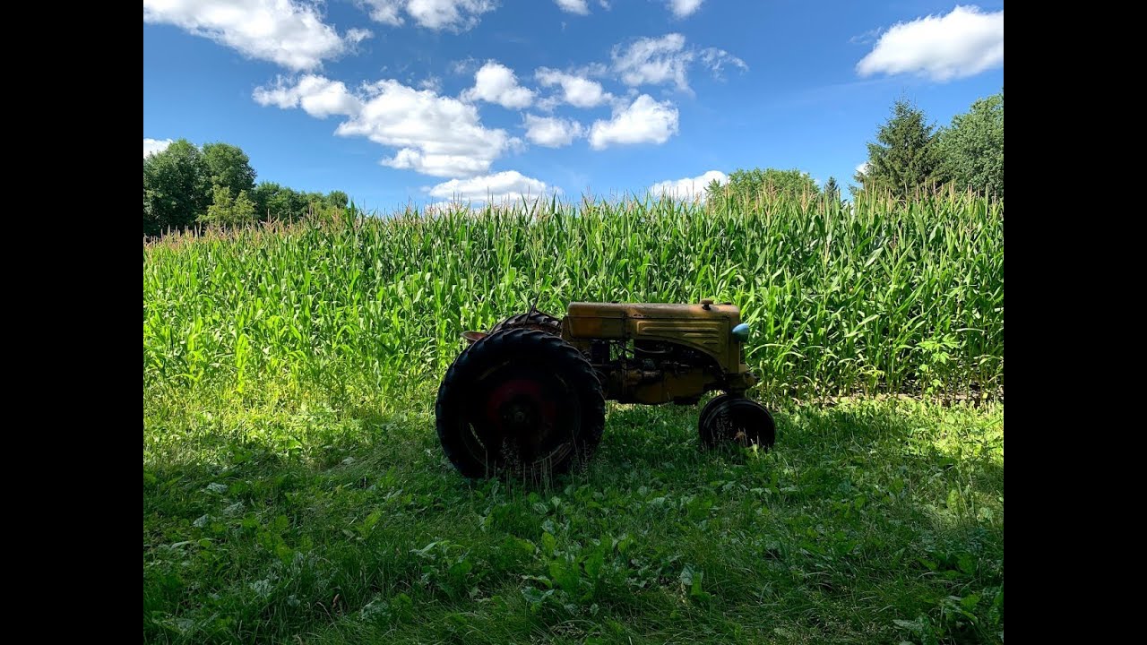 Minneapolis Moline R and Oliver 77 rake hay and July crop report