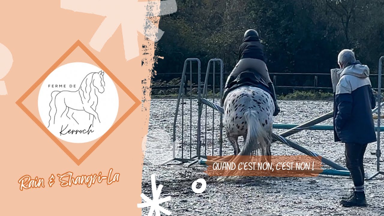 🧡 Stage de saut : C'EST PLUS DUR QUE PRÉVU 😰