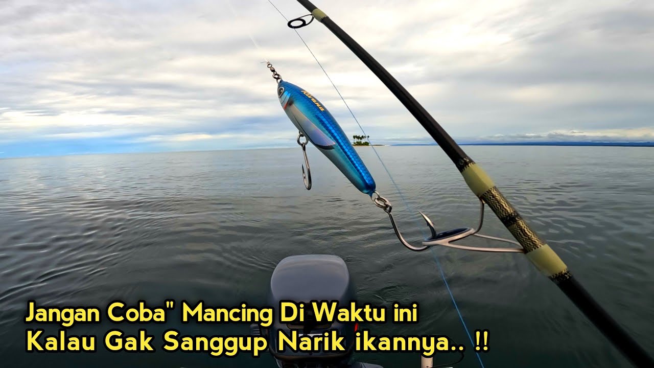Inilah Waktu Terbaik Mancing Popping..Saat Predator Semakin Ganas..!!