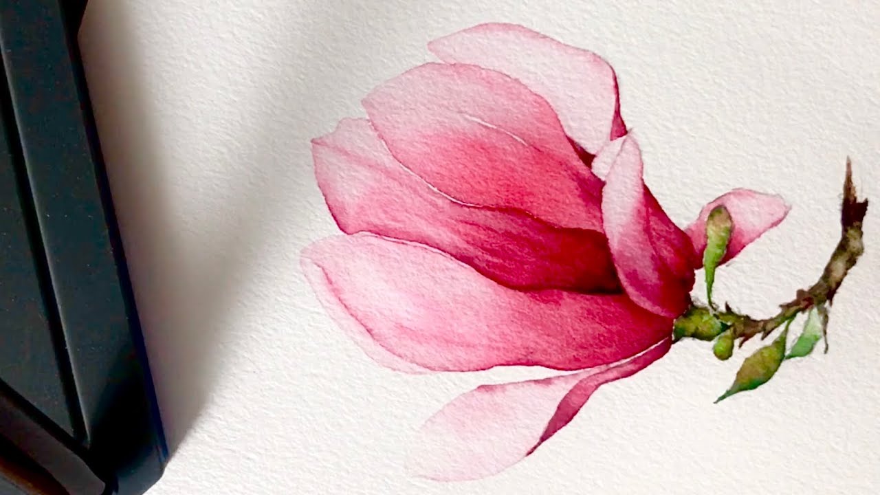 [베리현 수채화]목련 그리기| Watercolor painting | Watercolor flower | Watercolor tutorial | magnolia | 수채화 초보