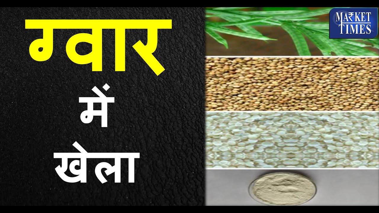 ग्वार को लेकर बड़ी पड़ताल - मार्केट टाइम्स टीवी। Guar Report - Market Times TV
