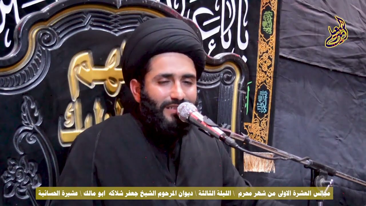 لقاء العفيفة مع زينب عليها السلام.سيد طالب السيد عقيل الياسري