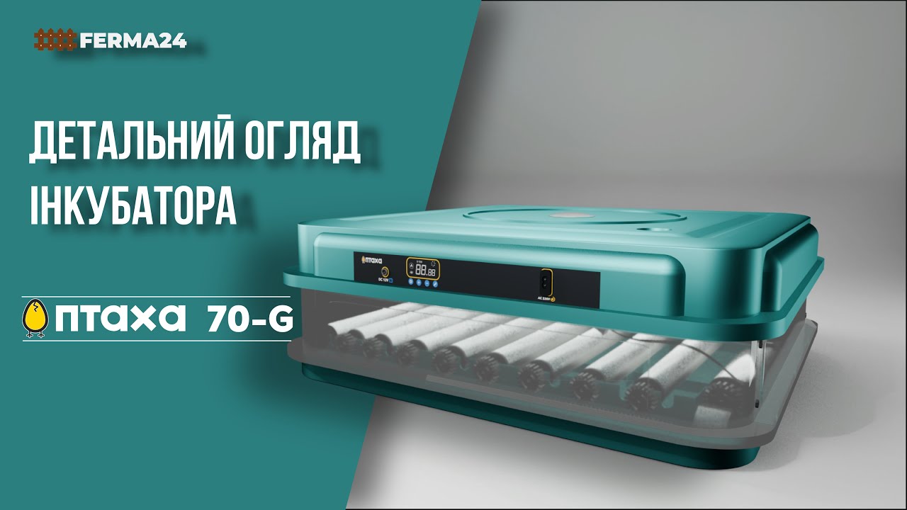 Інкубатор Птаха 70-G. Детальний огляд