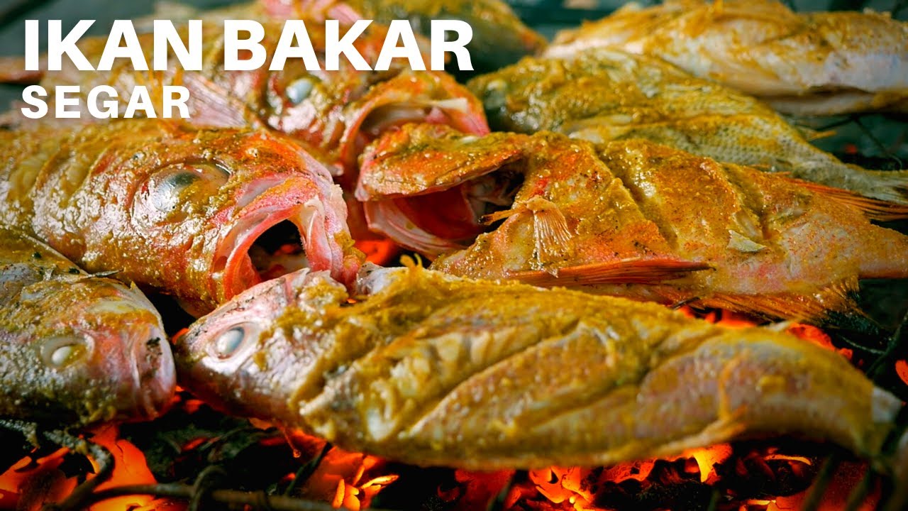 Borong Ikan Segar Langsung Bakar