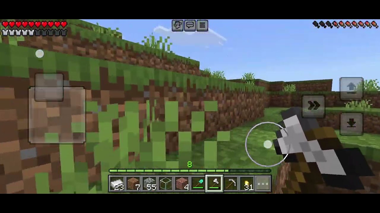 Minecraft no commentary part 29