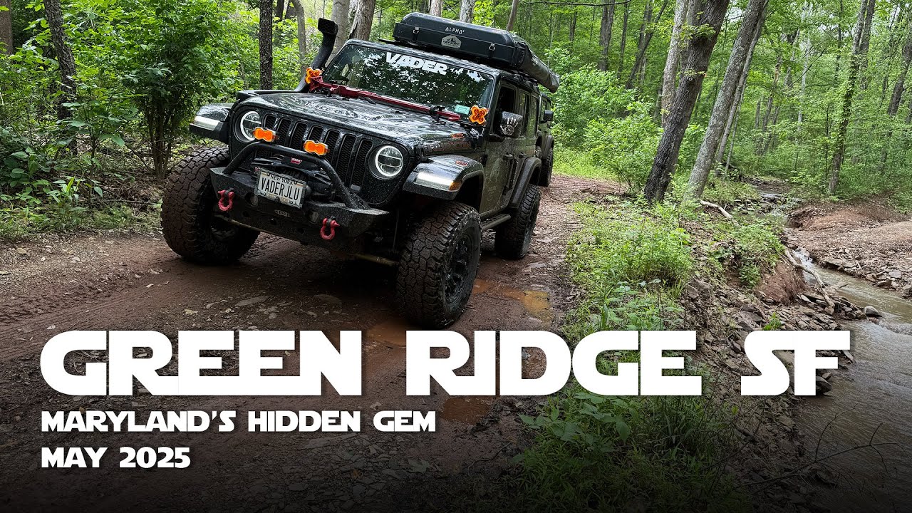 Exploring Green Ridge State Forest in Maryland
