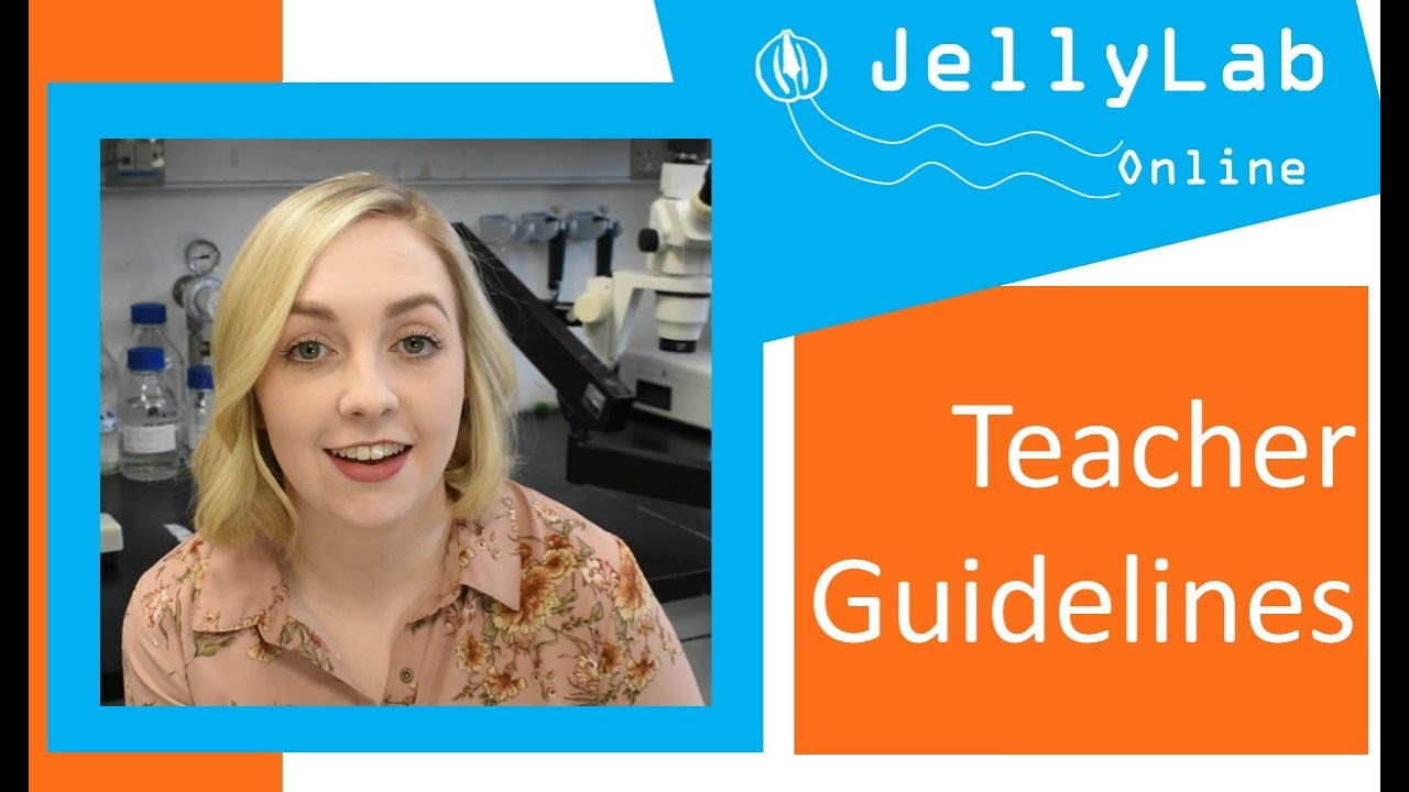 JellyLab Online: guidelines for teachers
