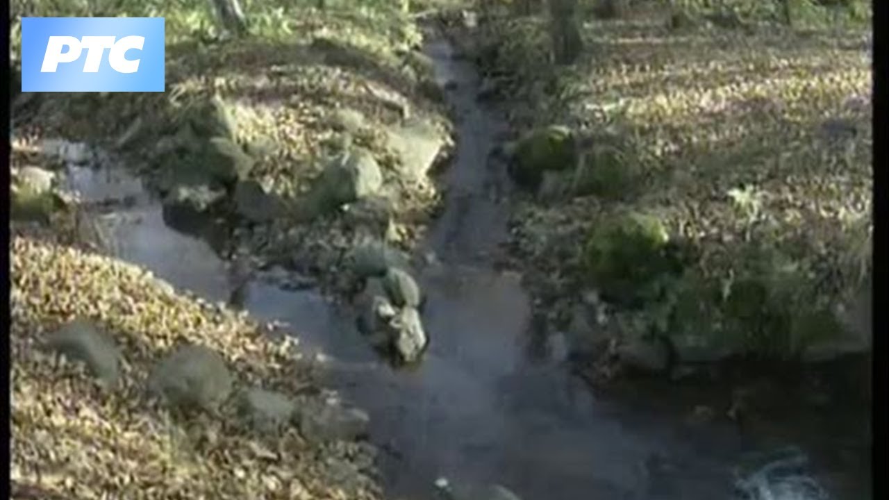 Od pločnika do Caričinog grada 2. deo