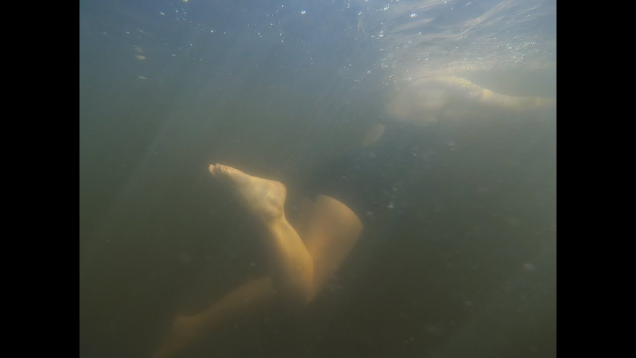 Blue Healer - a 5-9 Wild Swimming Adventure
