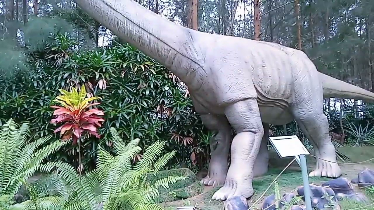 Tyrannosaurus