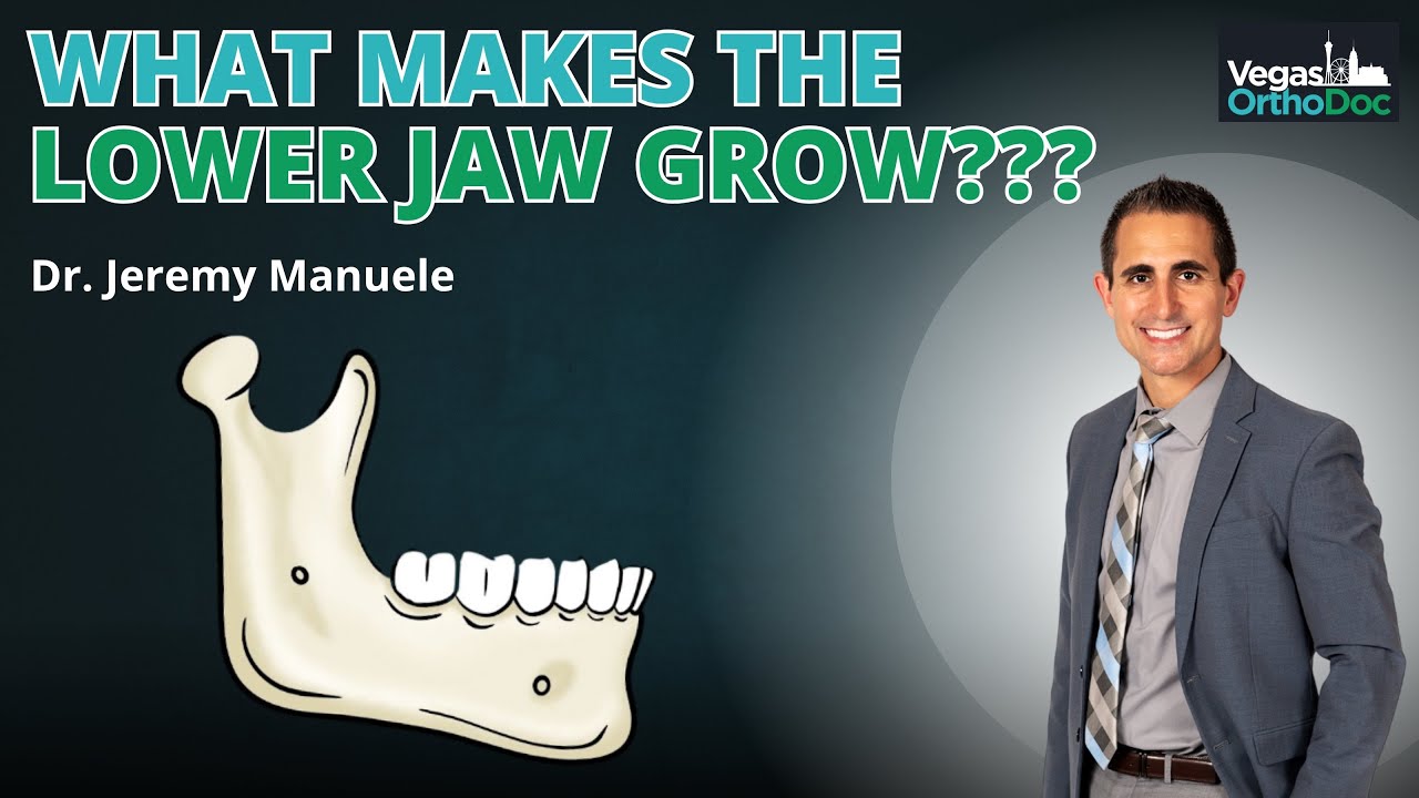 What Makes the Lower Jaw Grow?