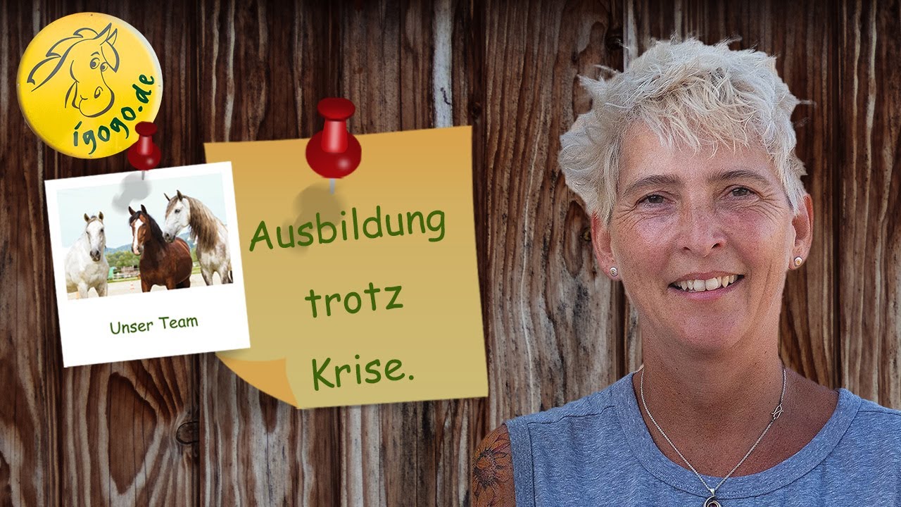 igogo News Teil 1: Ausbildung zur Reittherapeutin geht online