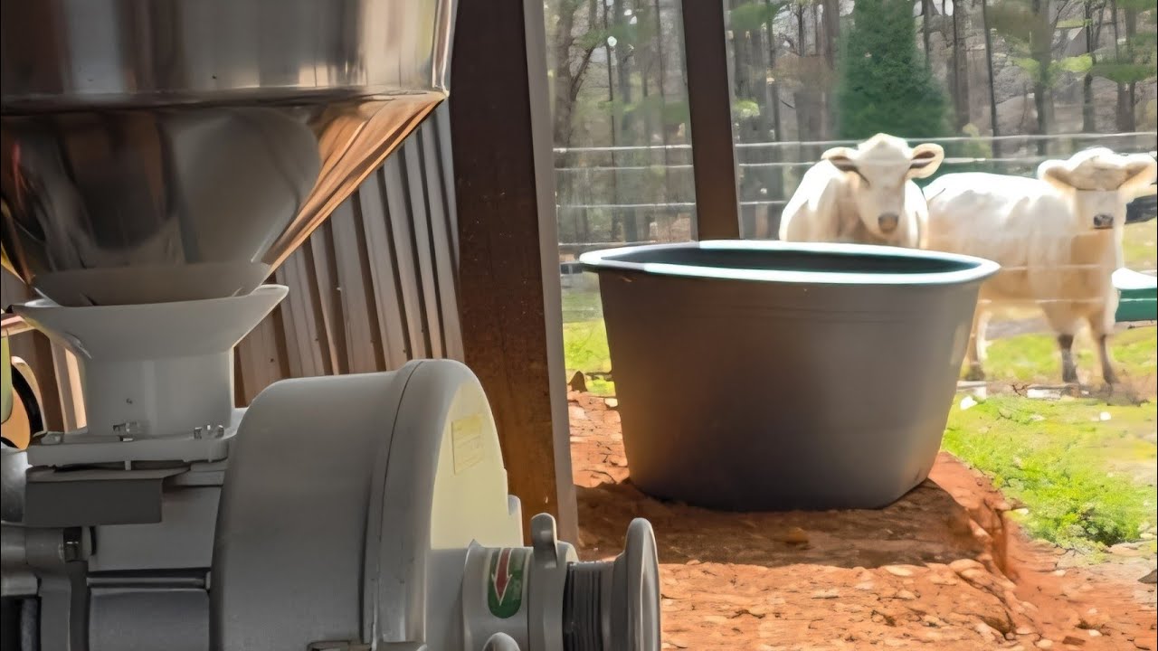 This Grinder Is a BEAST 😱 VEVOR 3000W Grain Mill Review!