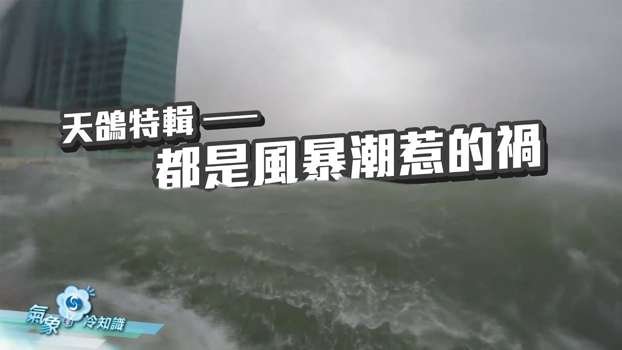 天鴿特輯 – 都是風暴潮惹的禍