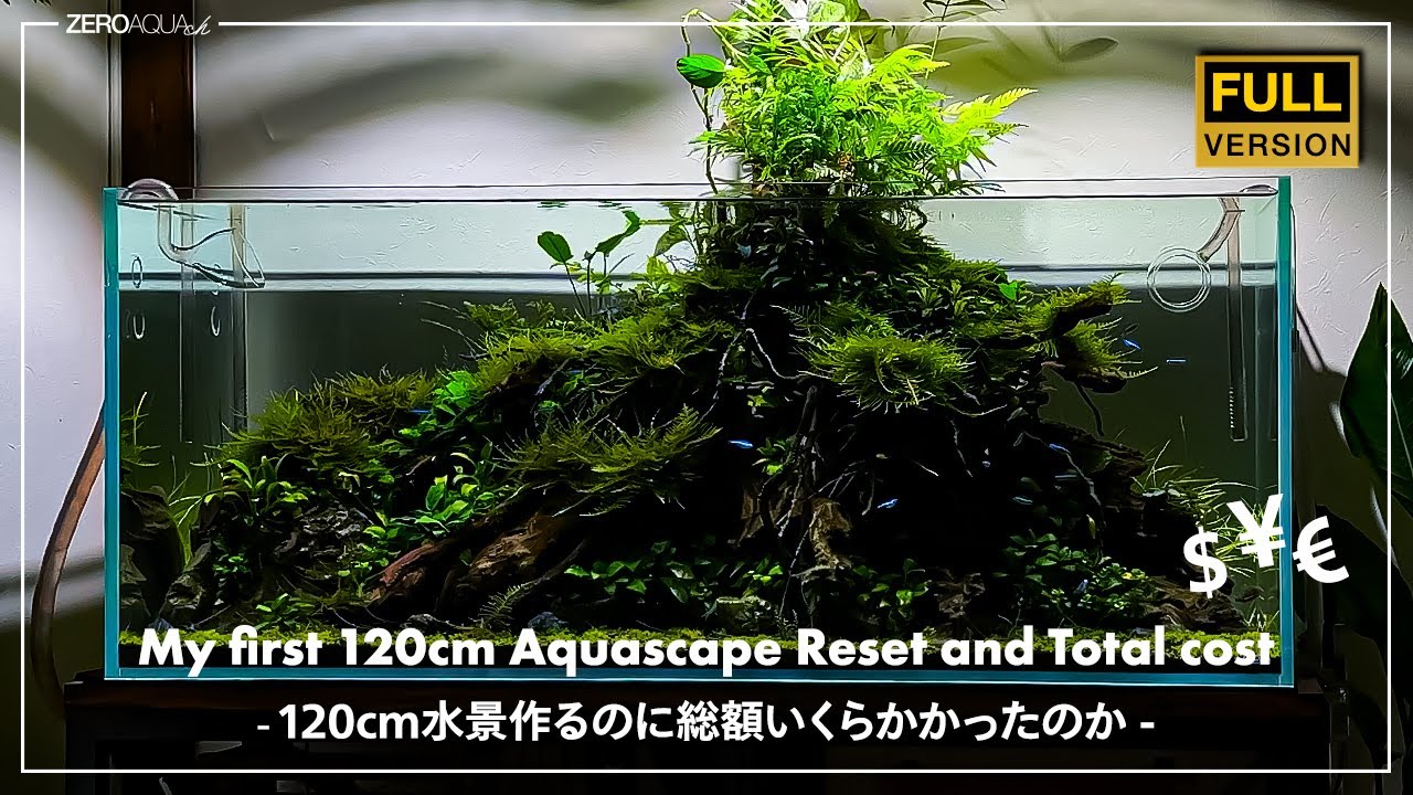 総額いくら？120cm水槽【アヌビアスの森】全設備・結局いくらかかったのか大公開　/aquascape/aquarium/120cm tank/vlog/