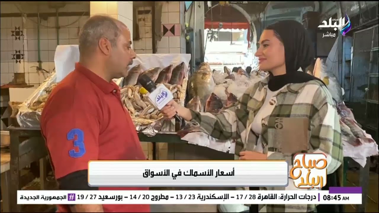 البلطي بـ120 جنيه.. أسعار السمك اليوم في الأسواق