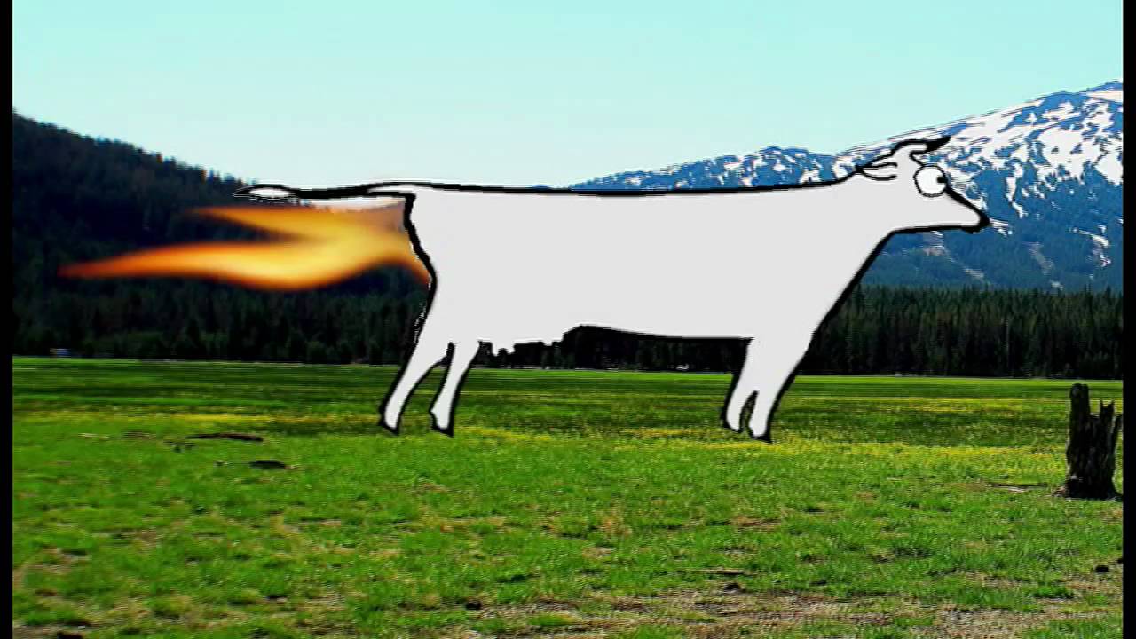 Rocket Cow