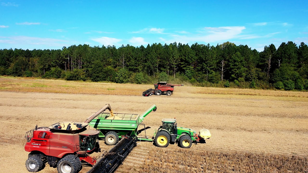 HARVEST DAYS IN ALABAMA