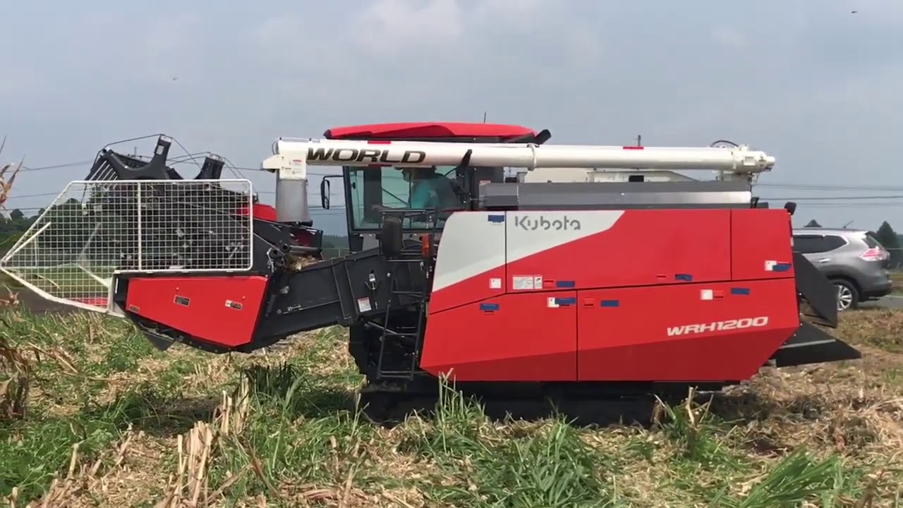 AMAZING HARVESTER | KUBOTA COMBINE HARVESTER | KUBOTA WRH1200|  #cornharvester