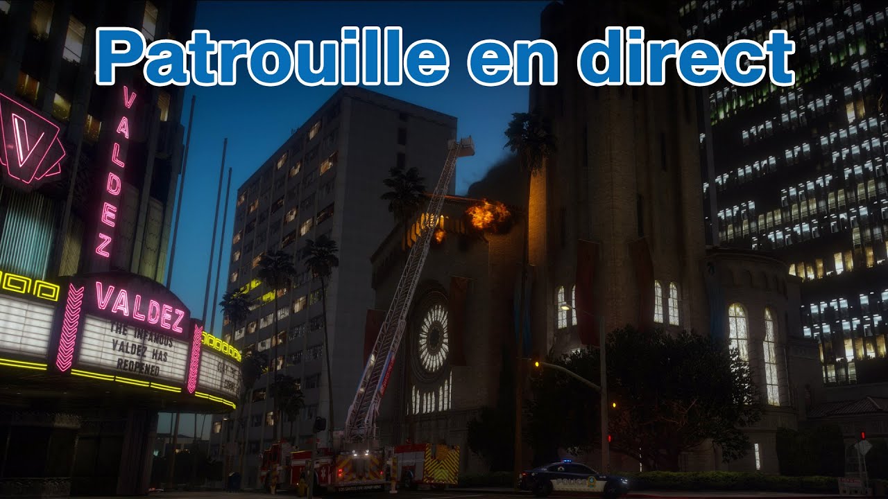 Police | Patrouille en direct #6