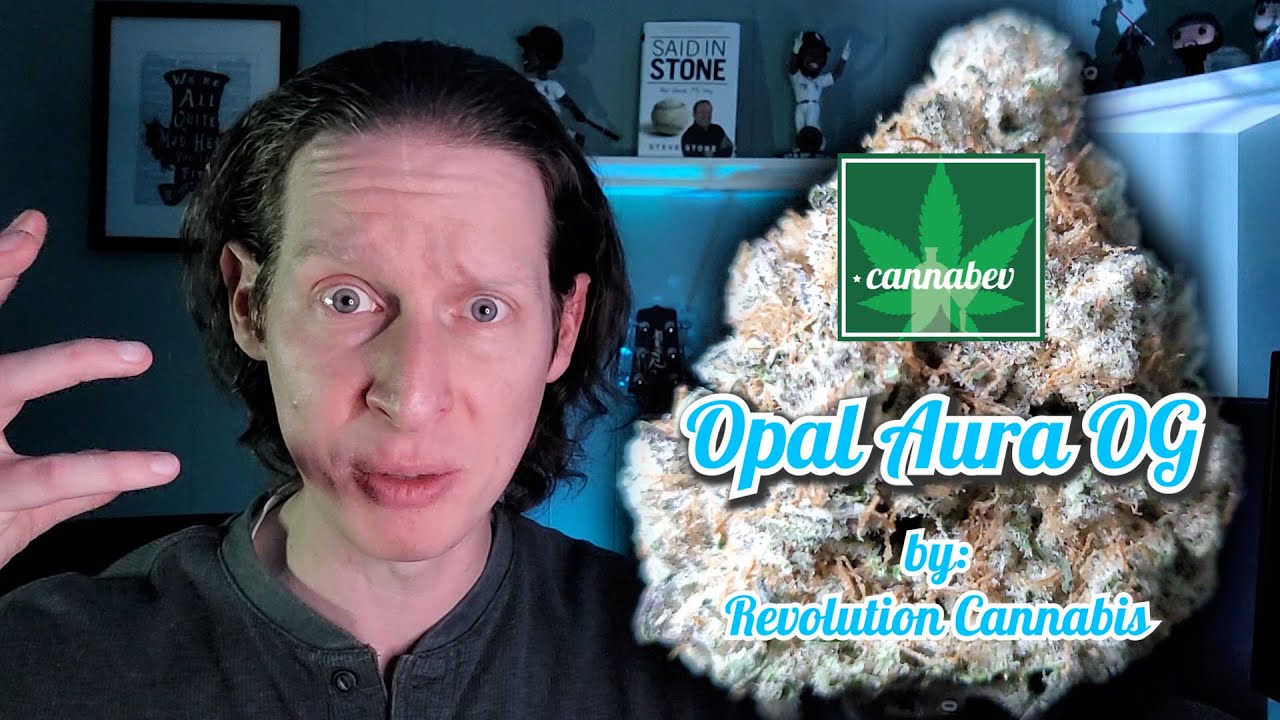 New Genetics - Revolution Cannabis Opal Aura OG _ Illinois Cannabis Review