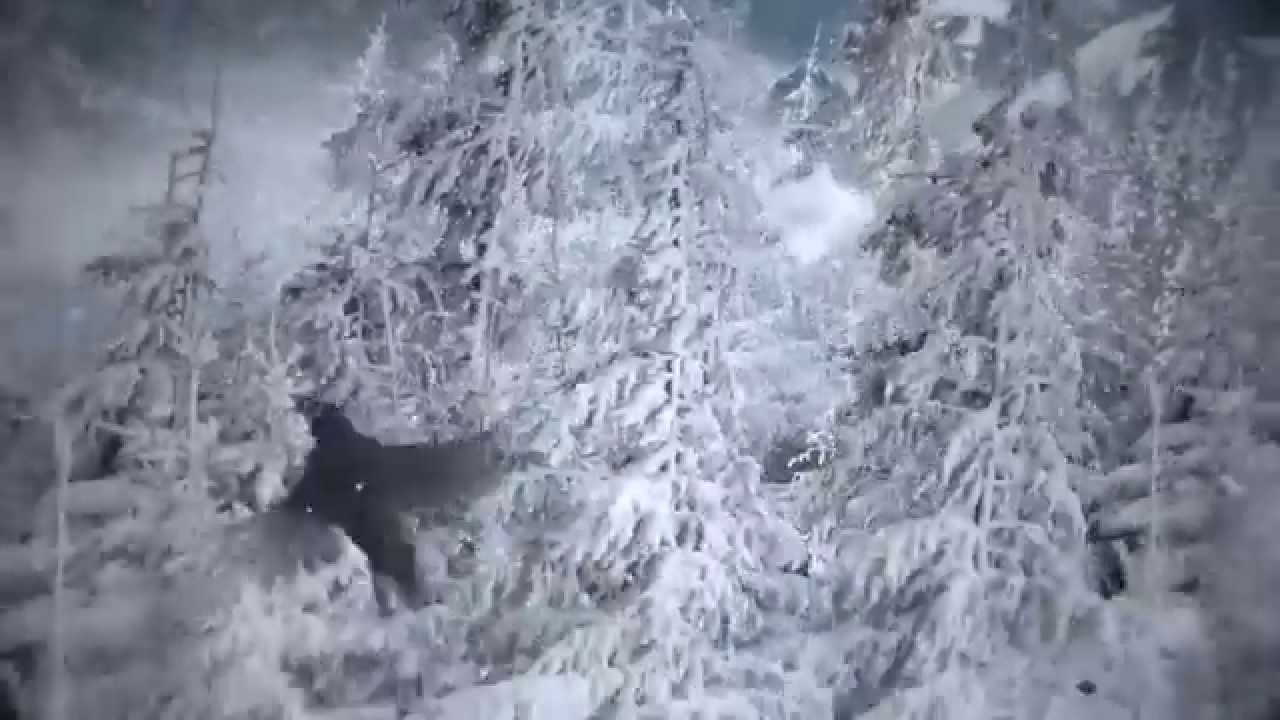 BBC Sport - Sochi Winter Olympics 2014 - Downhill skiing