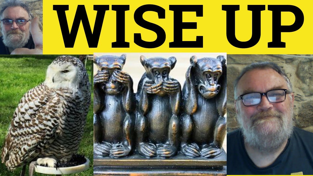 Wise Up Meaning - Wise Up To Definition - Phrasal Verbs - Wise Up Examples - Wise Up To Explanation