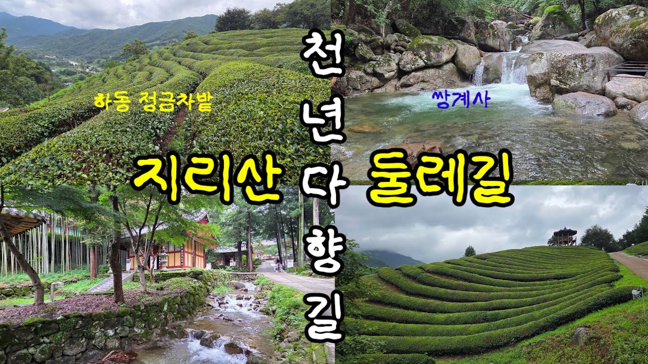 하동 녹차밭 천년다향길을 라이딩하며 하동의 매력에 빠지다!