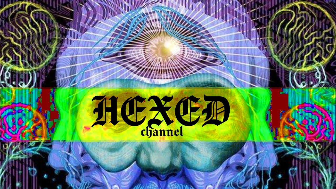 Өөр хэмжигдэхүүнд аваачдаг ургамал (DMT) Болсон явдал / Учир битүүлэг