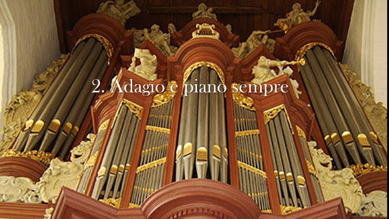 J.S. Bach - Concerto D Dur (part 2) after BWV 1042, 1054. Wouter Koelewijn, Müller organ Leeuwarden