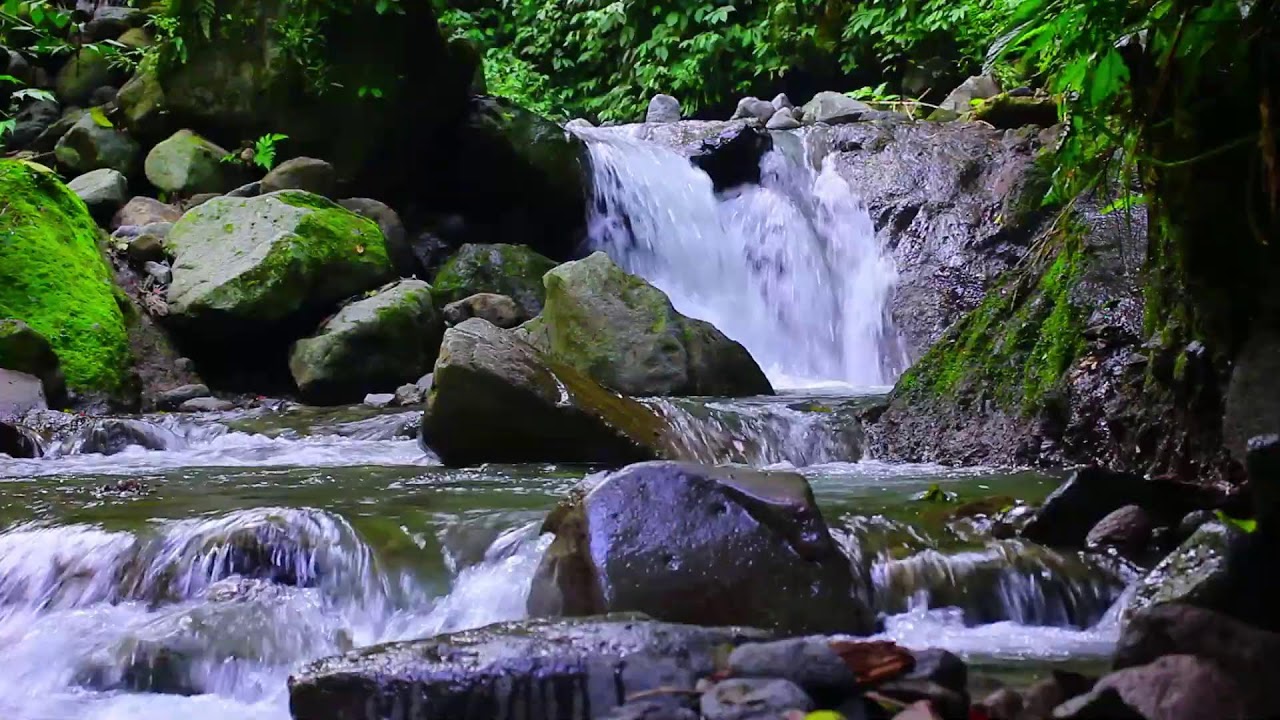 Flowing River Ambience 24/7 &bull; Peaceful Stream, White Noise for Sleeping