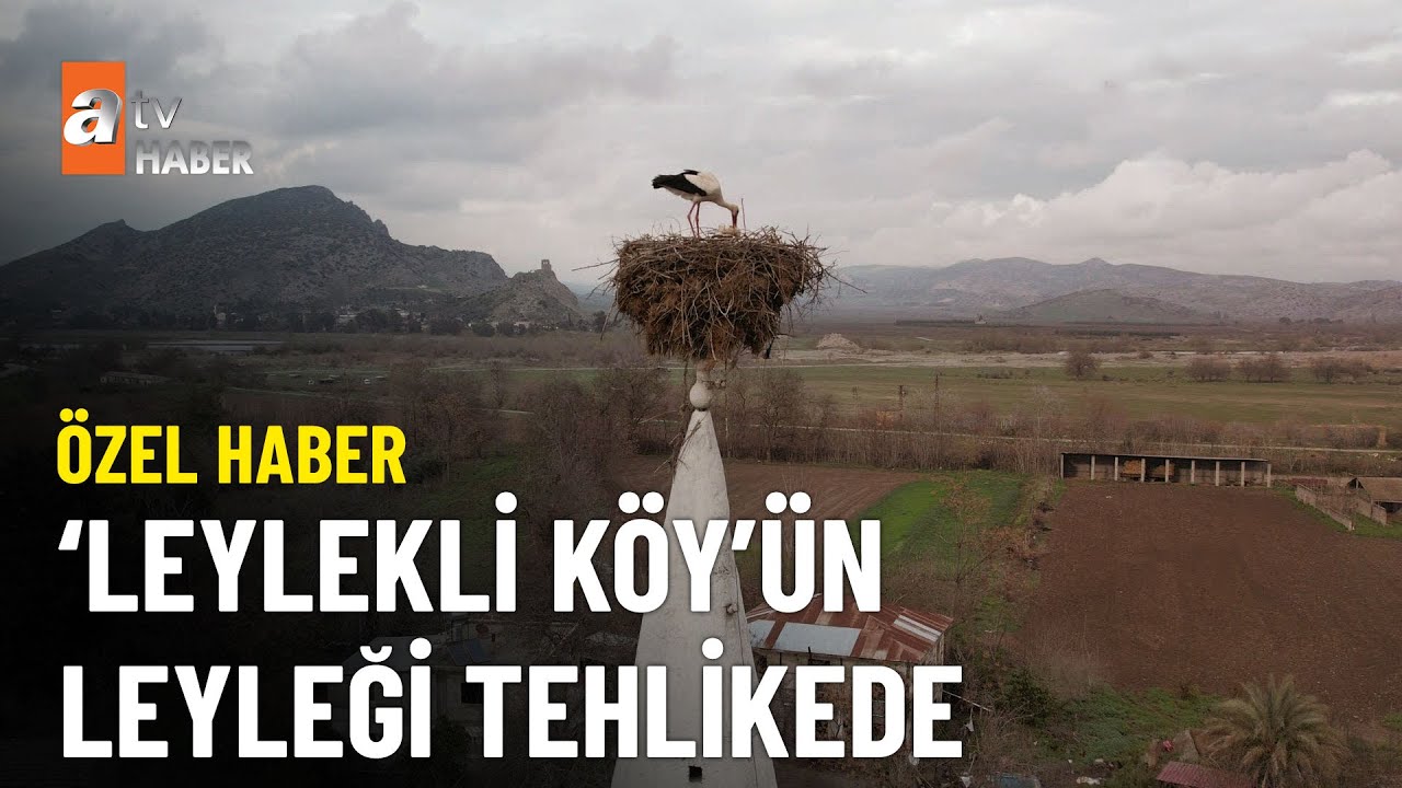 ÖZEL HABER - Leyleğin yuva yaptığı minare hasarlı - atv Ana Haber 19 Mart 2023