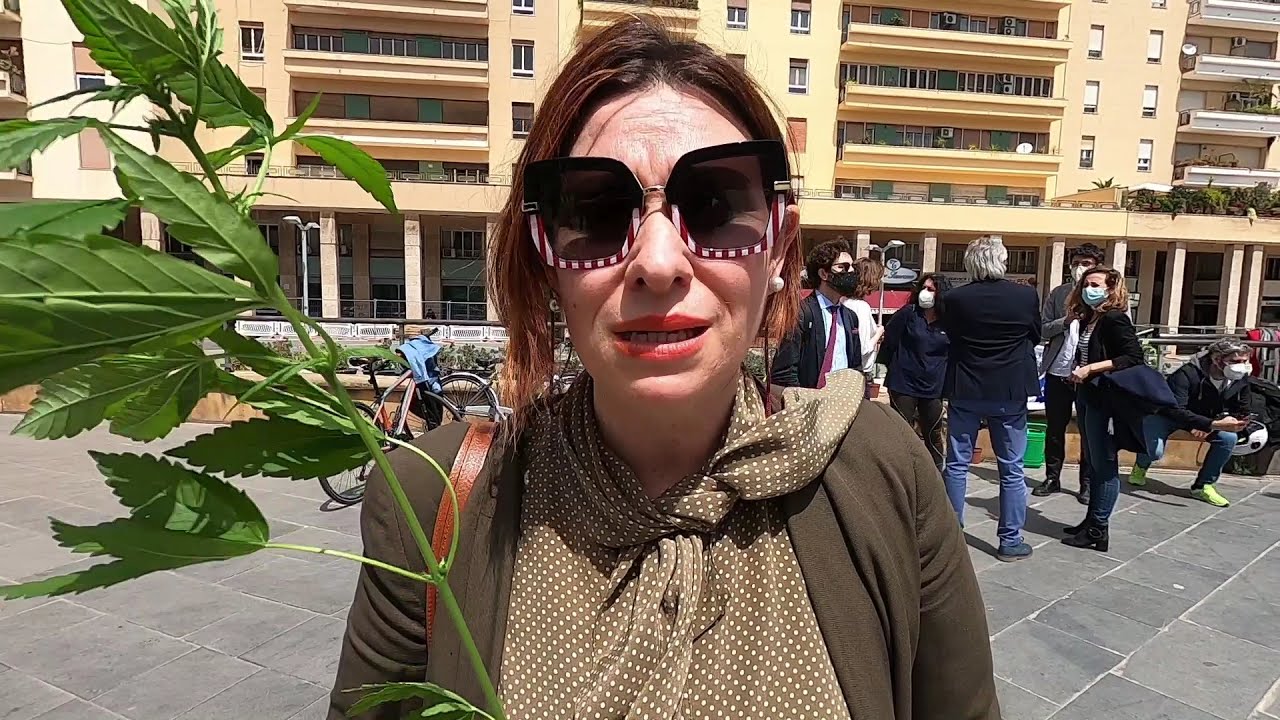 CANNABIS: SENTENZA STORICA PER WALTER DE BENEDETTO. ADESSO SERVE LEGALIZZARE!