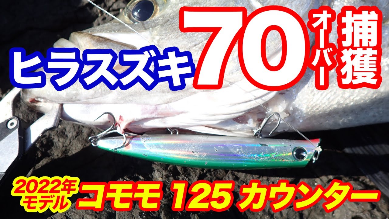 【NEWコモモ125カウンター】でヒラスズキ70オーバーを釣る！［実釣インプレ・レビュー］
