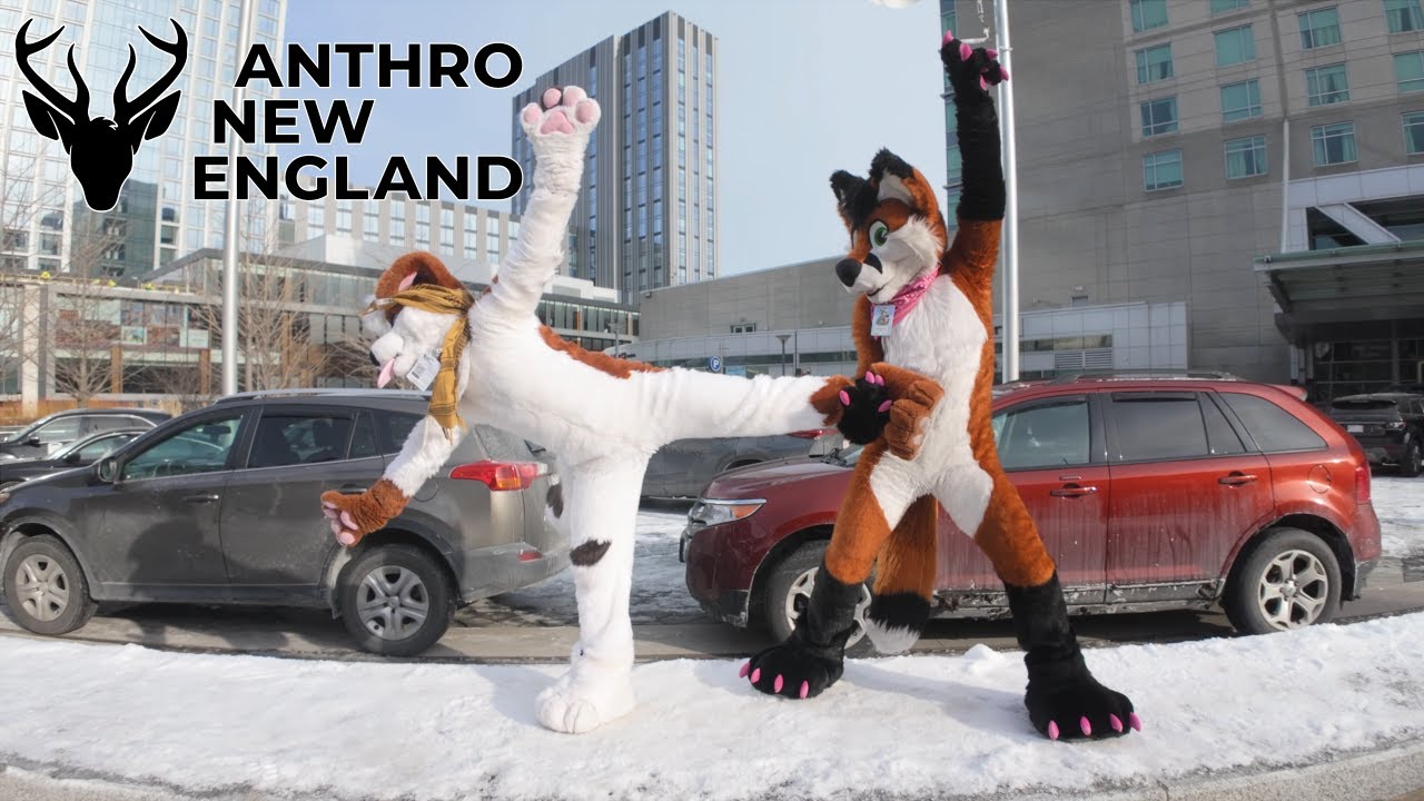 Anthro New England 2024 Con Video 