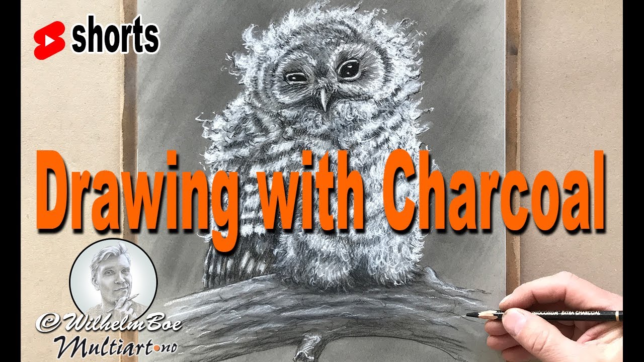 How to Draw an Owl With Koh-I-Noor Charcoal Pencils