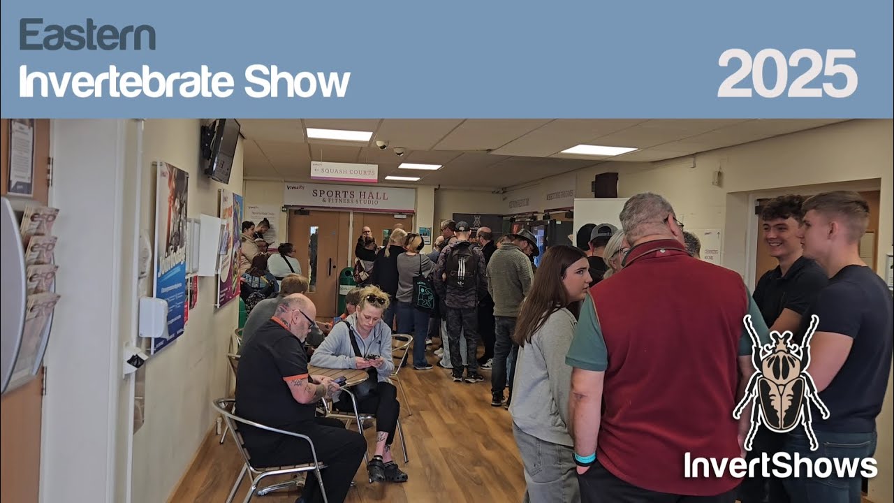 Eastern Invertebrate Show 2025 