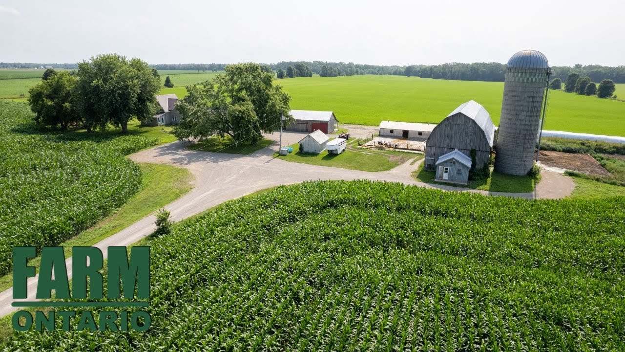 279 Zion Line, Cobden | Farms For Sale In Ontario