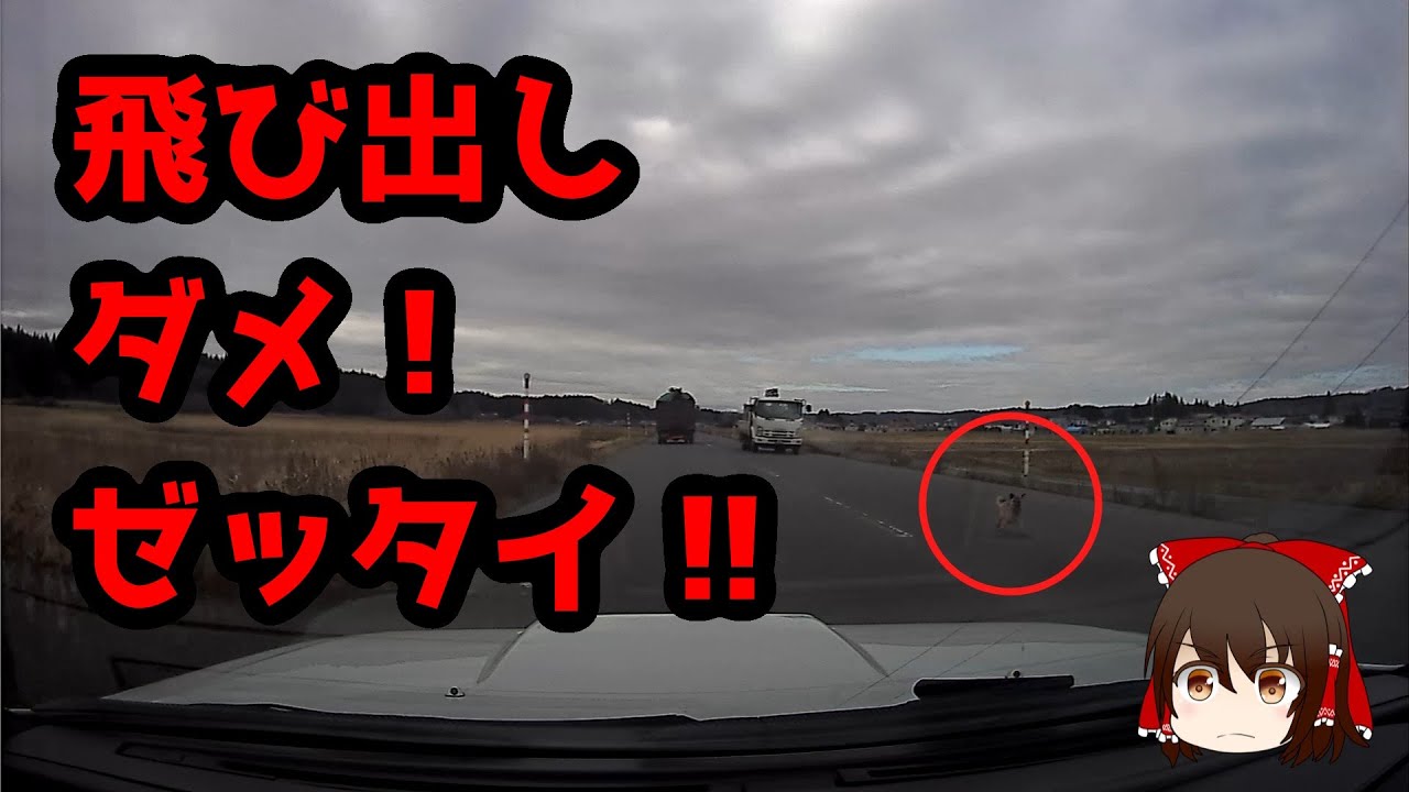 【危険!!】飛び出し ダメ!ゼッタイ!!【ゆっくりサバンナRX-7 FC3S】